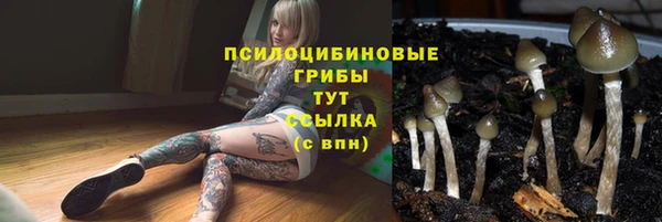 mdpv Абаза