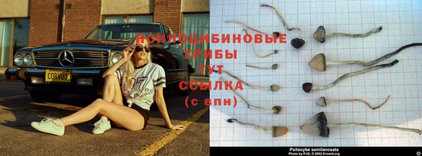 MDMA Premium VHQ Абдулино